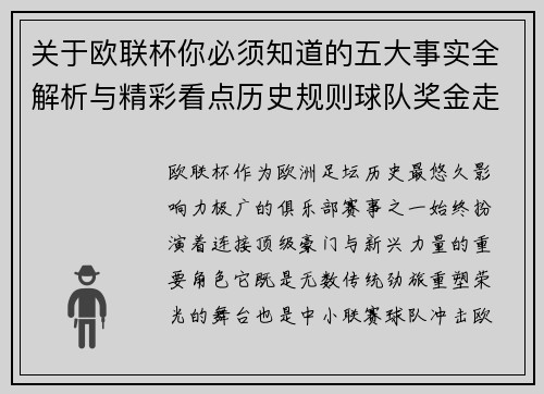关于欧联杯你必须知道的五大事实全解析与精彩看点历史规则球队奖金走势
